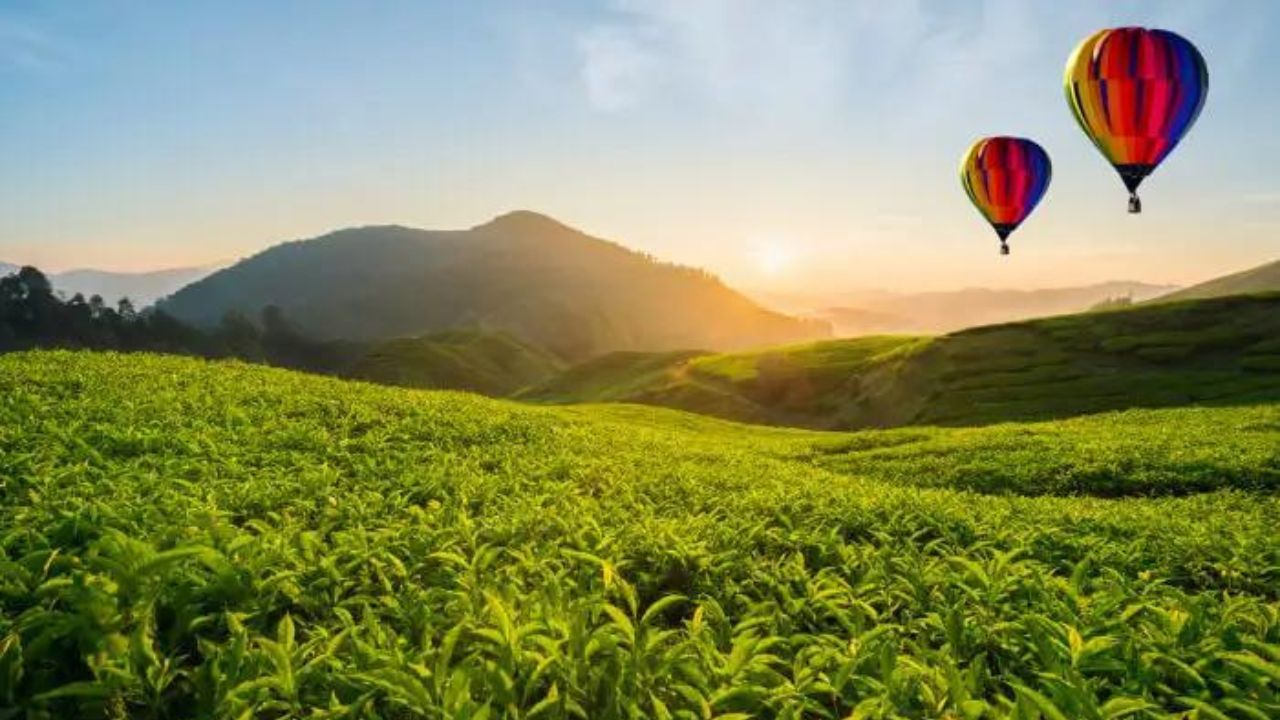 Six Steps to Build Resilience with Yin Spirit